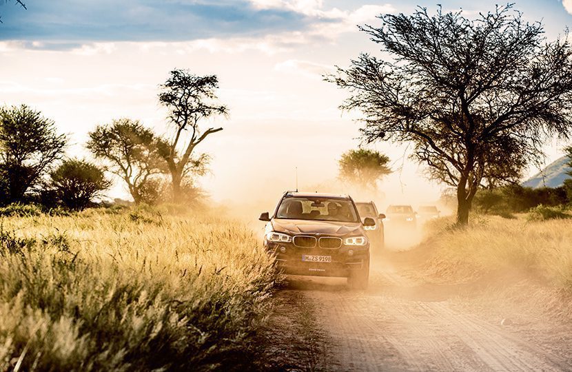 Ultimate 4×4 horse-back safari experience