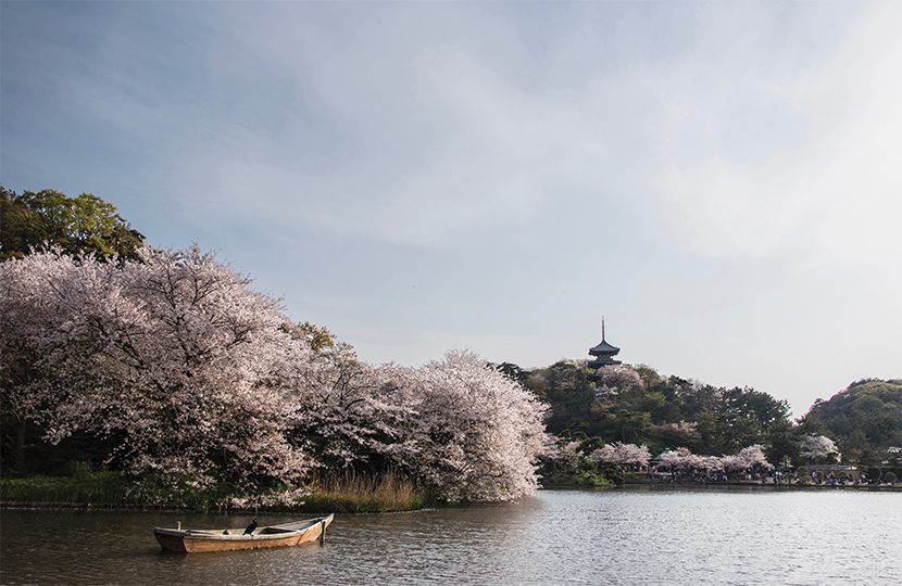 Japan’s Unsung Cities