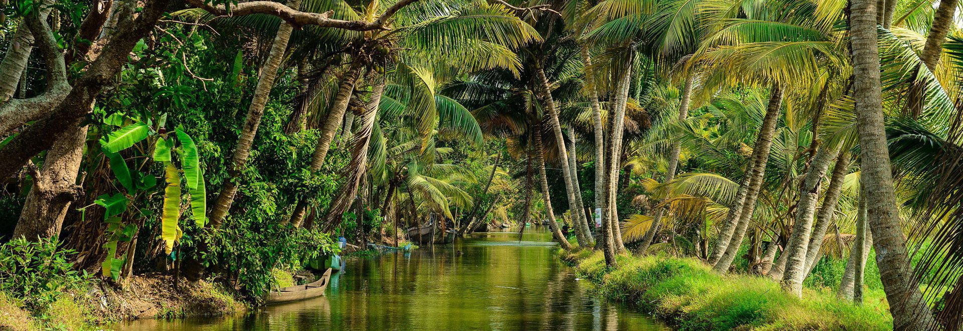 Beautiful and serene backwaters of Kerala