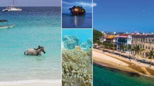 Out of This World Experiences in Zanzibar You Cant Miss