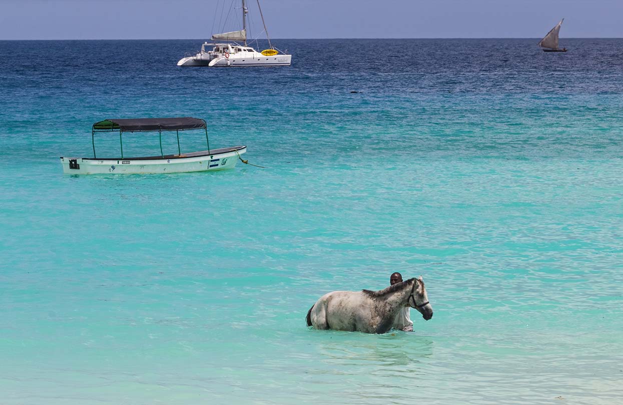 Swimming with horses in Nungwi Zanzibar, image by Belozerova Daria, shutterstock