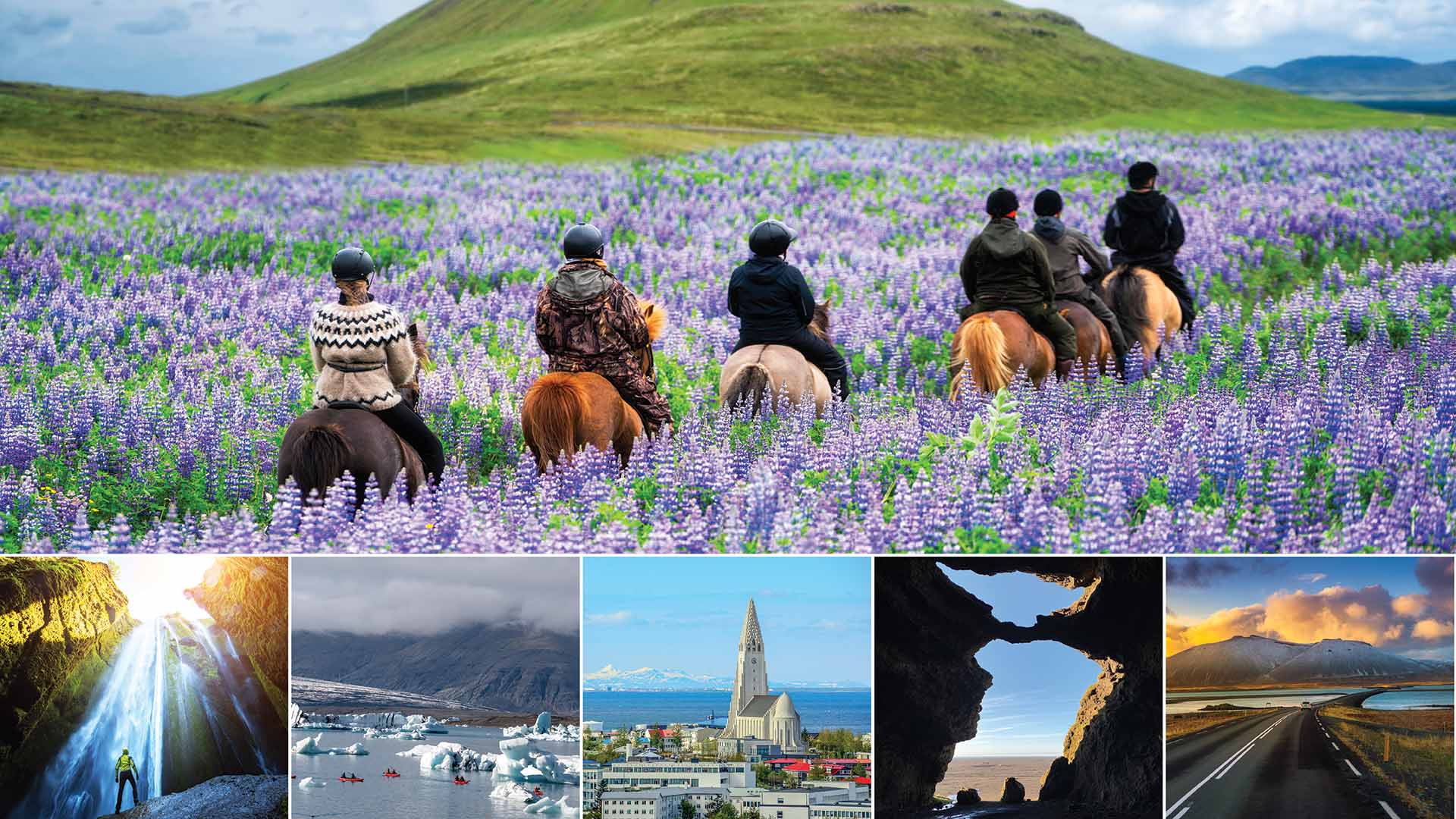 Puffins, Whales, Horse Riding To Lava Fields: Iceland's Epic Trip Ahead