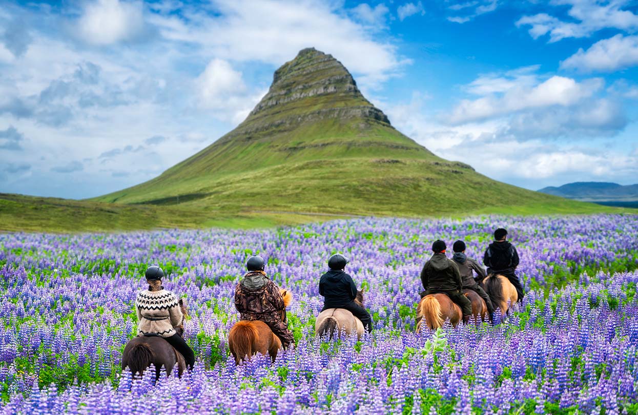 Horse back riding at Kirkjufell Mountain, Image by Summit Art Creations, Shutterstock