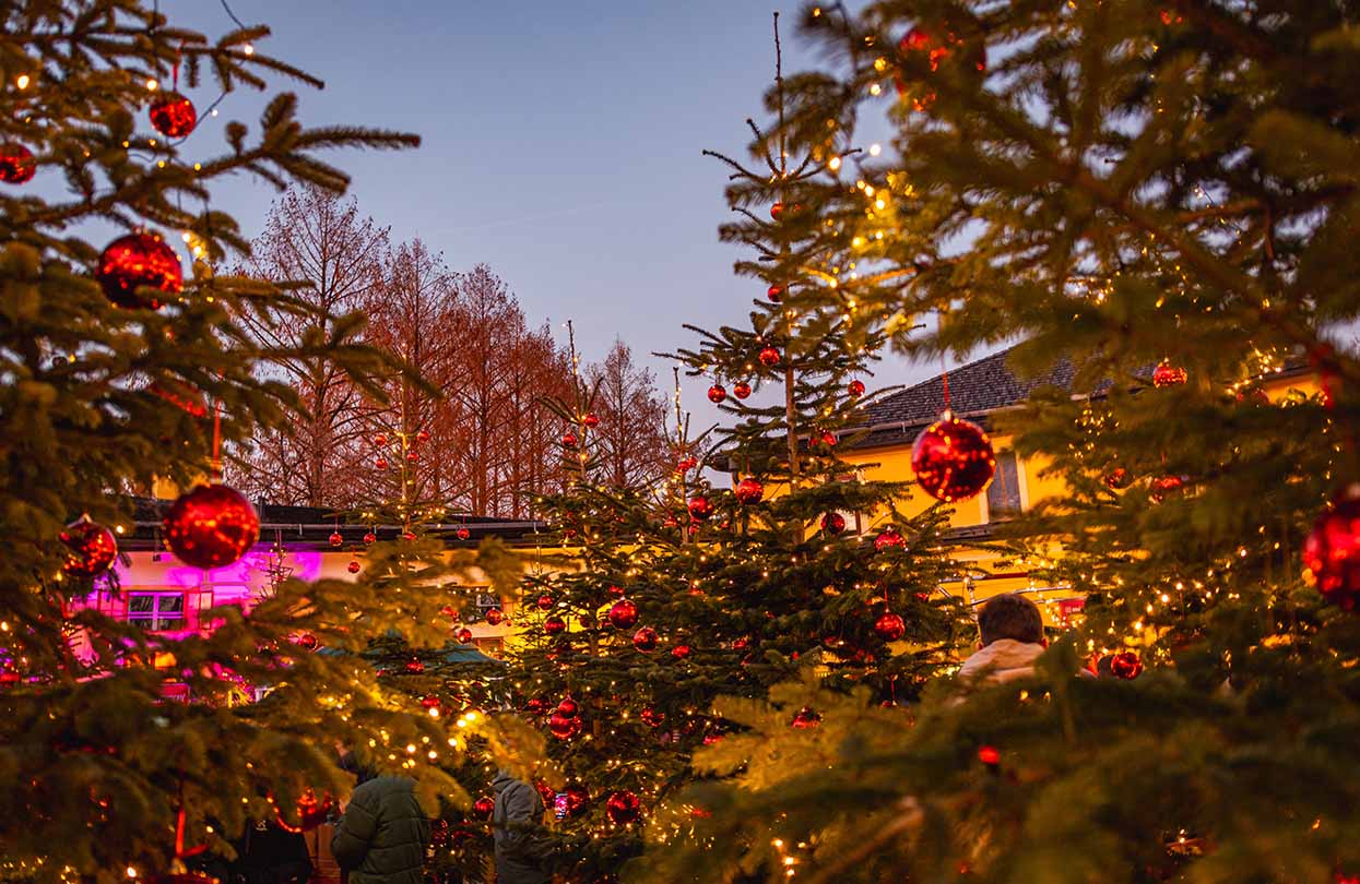 Schloss Hellbrunn Advent Salzburg, Image by Simon Reisinger, shutterstock