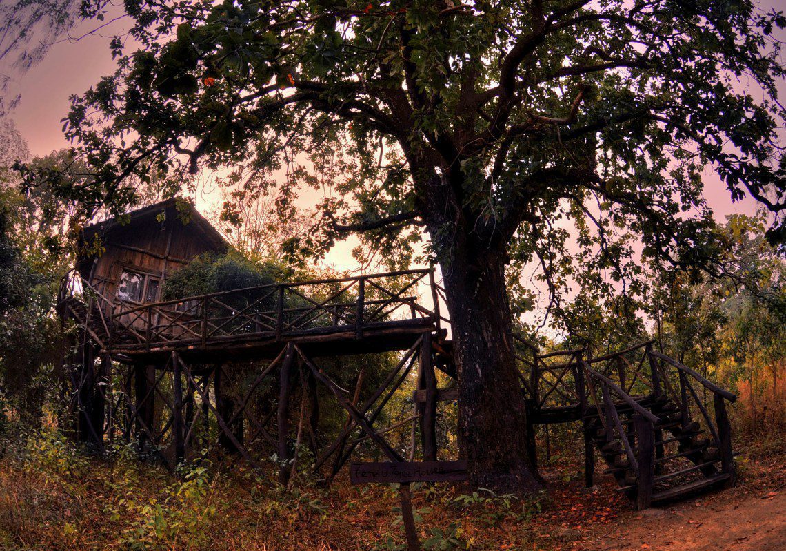 India’s charming tree houses